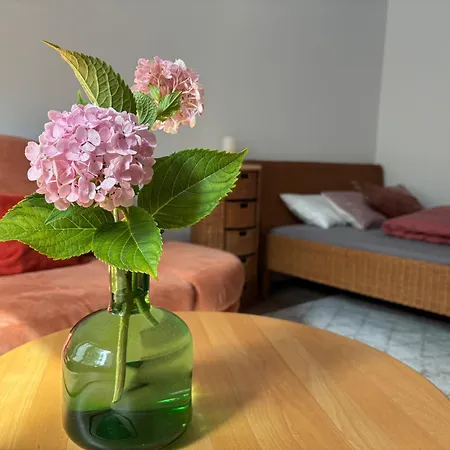 Cozy Near Darmstadt & Forest *